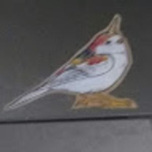 Meet your Posher, Virginia